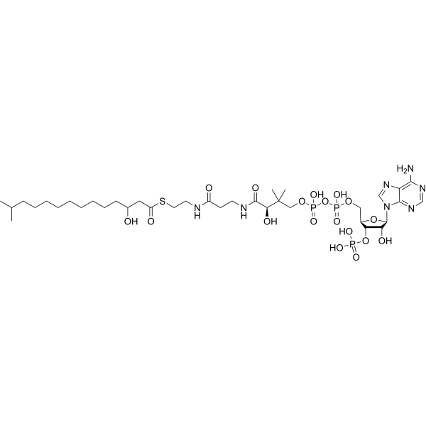 3-Hydroxyisopentadecanoyl-CoA