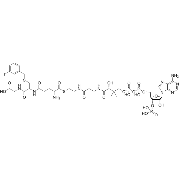 S-(3-Iodobenzyl)glutathione-CoA