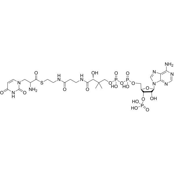 Willardiine-CoA