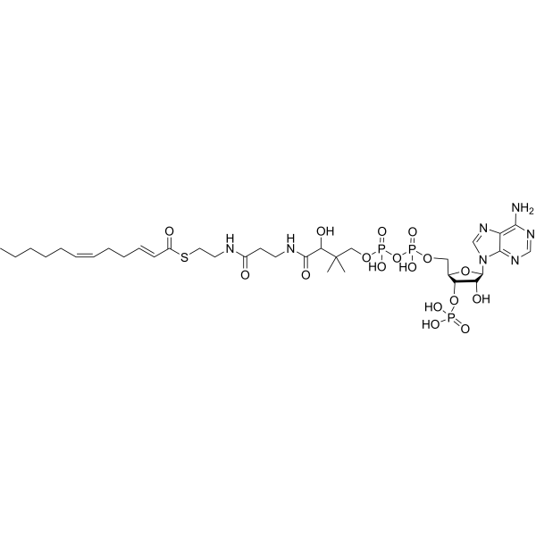 trans,cis-Lauro-2,6-dienoyl-CoA