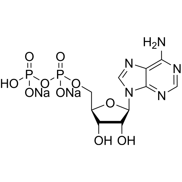 Adenosine 5'-diphosphate disodium (Standard)