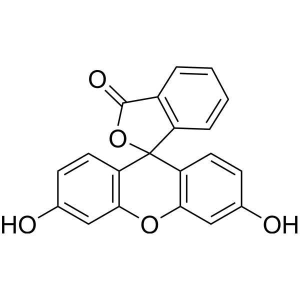 Fluorescein