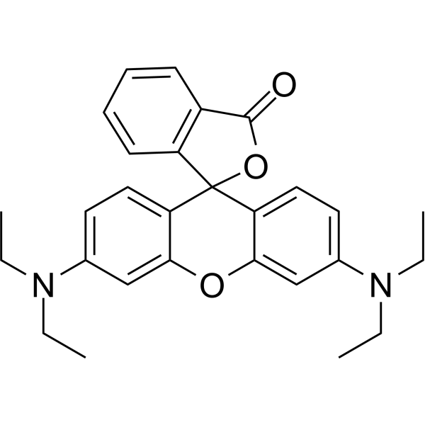 Rhodamine B base