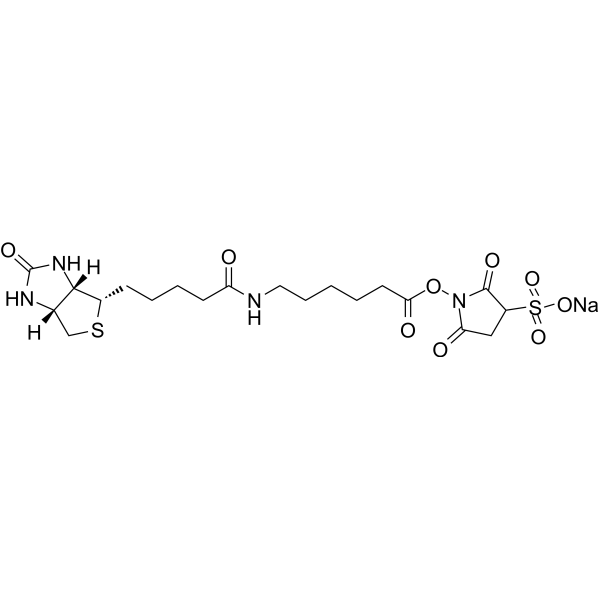 Sulfo-NHS-LC-Biotin sodium