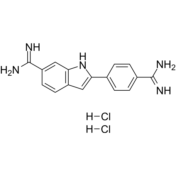 DAPI (dihydrochloride) (solution)