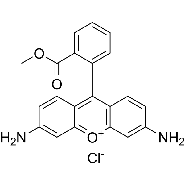 Rhodamine 123