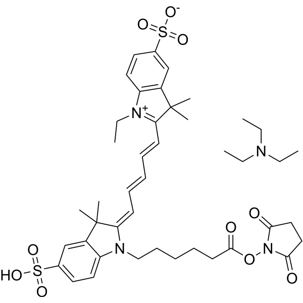 CY5-SE triethylamine salt