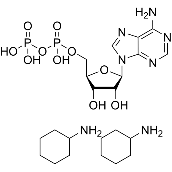Adenosine 5'-diphosphate dicyclohexylammonium