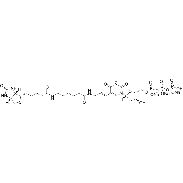 Biotin-11-dUTP trisodium
