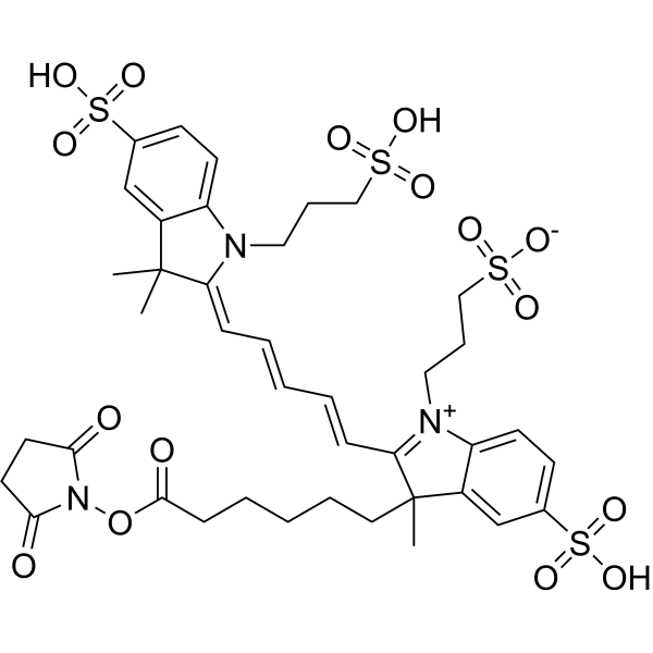 AF647-NHS ester