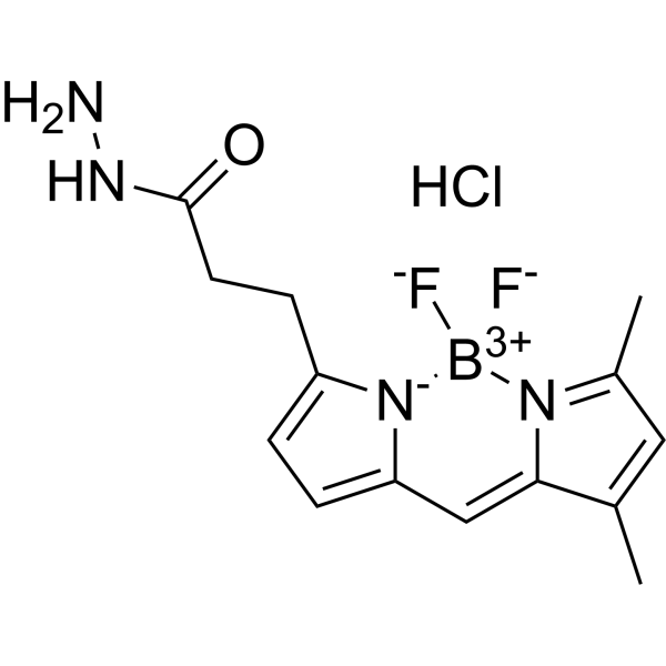 BODIPY FL hydrazide hydrochloride