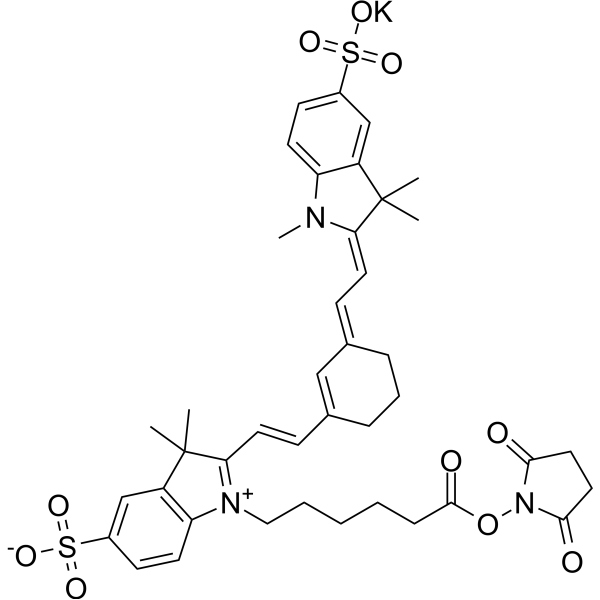 Sulfo-Cyanine7 NHS ester potassium