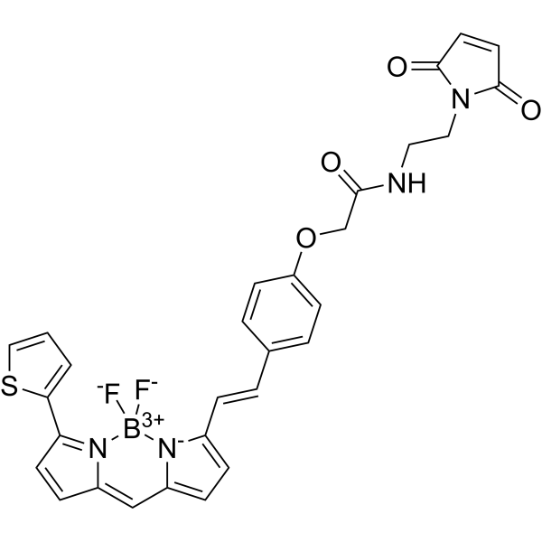 BDP 630/650 maleimide