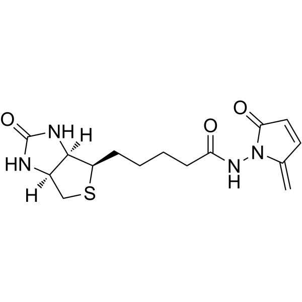 L-Biotin-NH-5MP