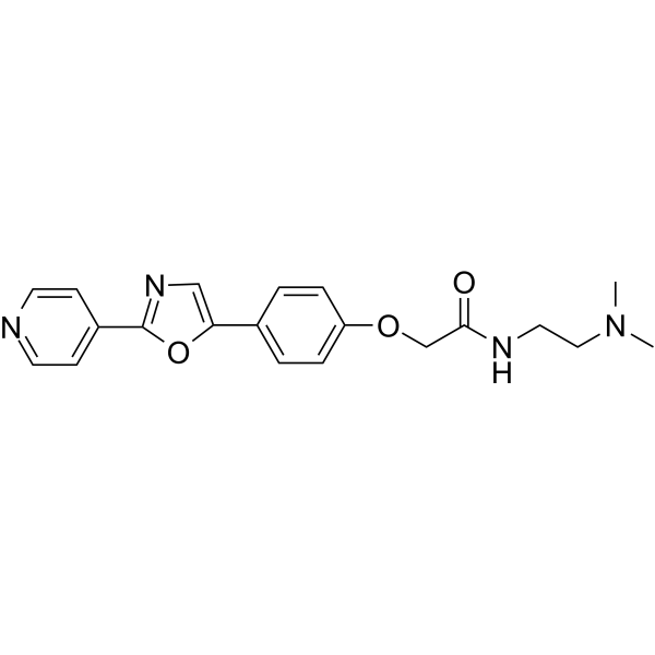 LysoSensor PDMPO