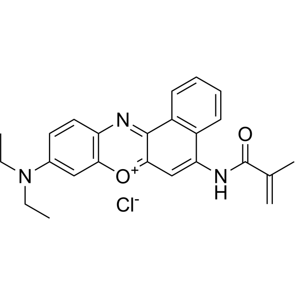 Nile Blue Methacrylamide