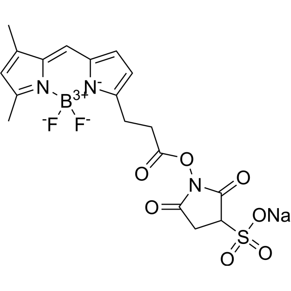 BODIPY FL SSE