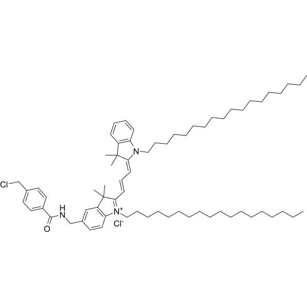 CellTracker CM-DiI
