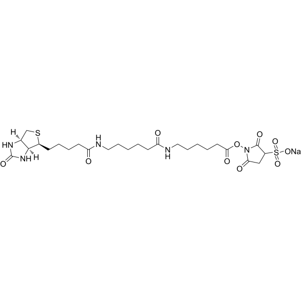 Sulfo-NHS-LC-LC-Biotin