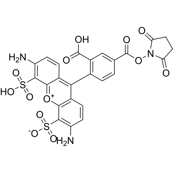 AF488 NHS ester