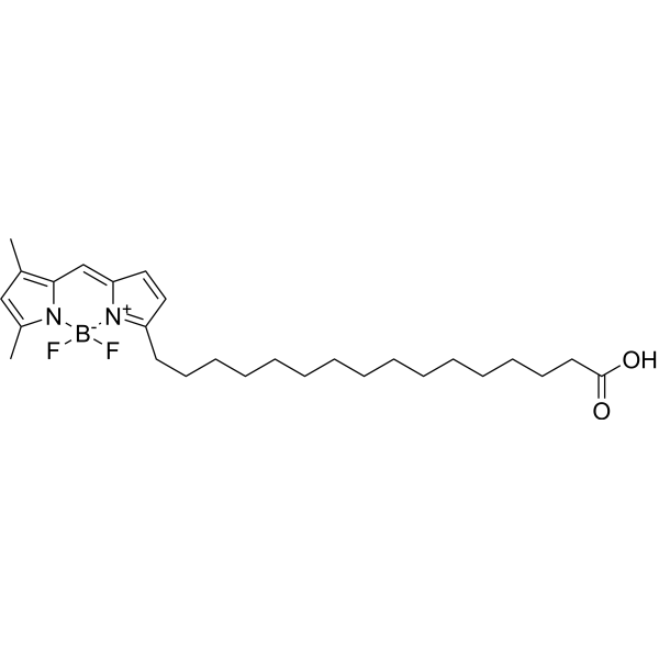 BODIPY FL-C16