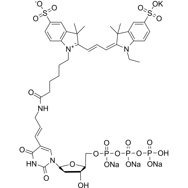 Sulfo-Cy3-E-dUTP