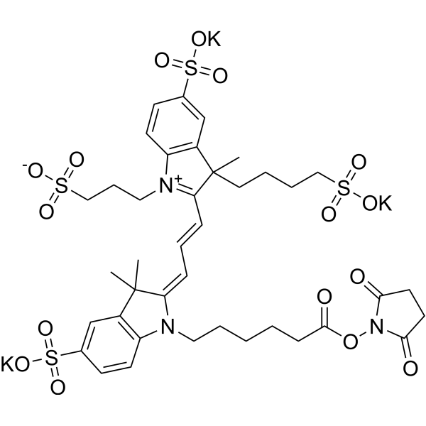 AF 555 NHS ester