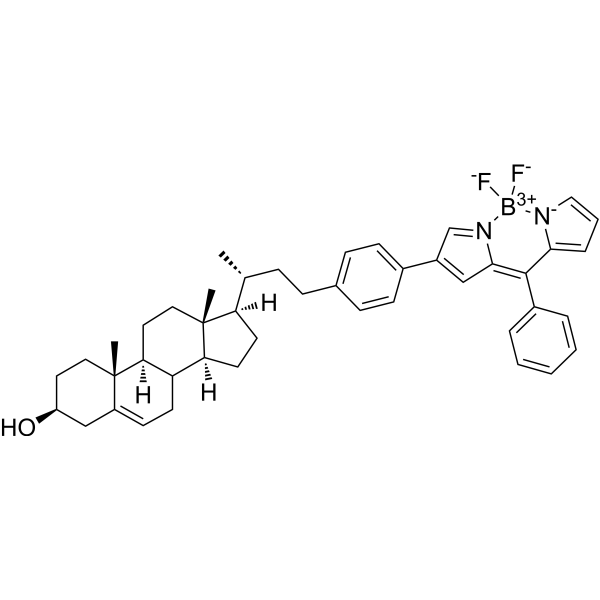 BODIPY-cholesterol conjugate-1