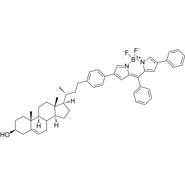 BODIPY-cholesterol conjugate-2