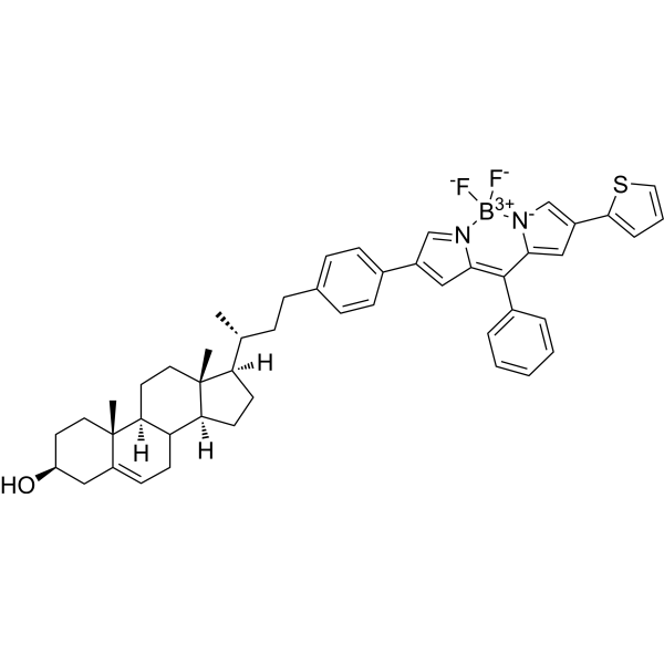 BODIPY-cholesterol conjugate-3