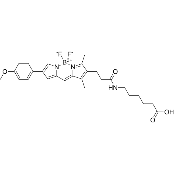BODIPY TMR acid