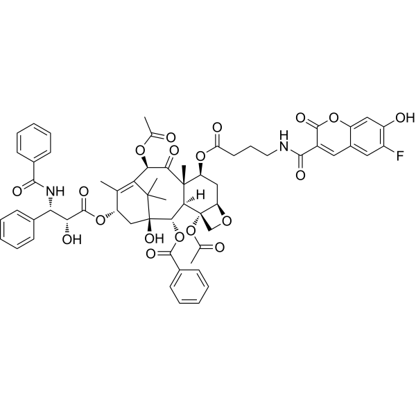 6FC-GABA-Taxol
