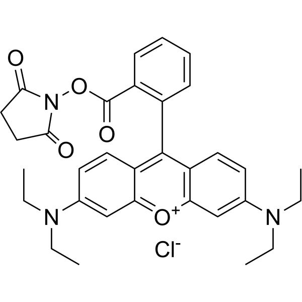 Rhodamine B NHS ester