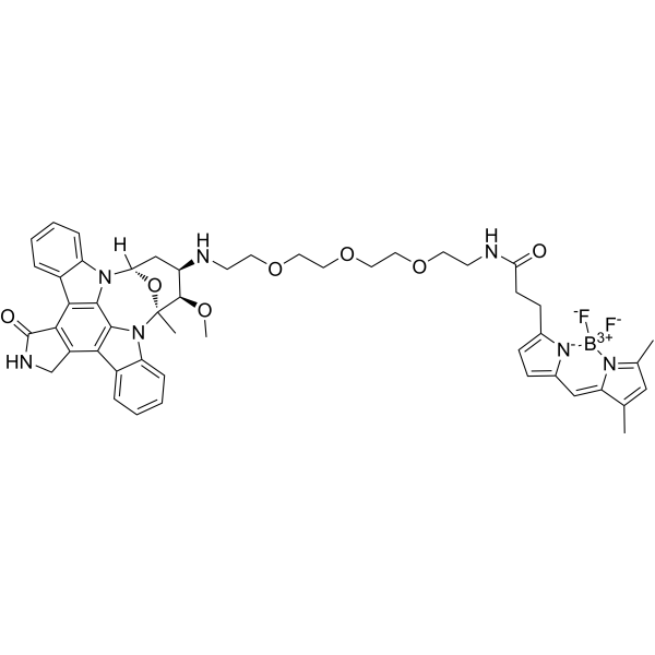 BODIPY-FL staurosporine