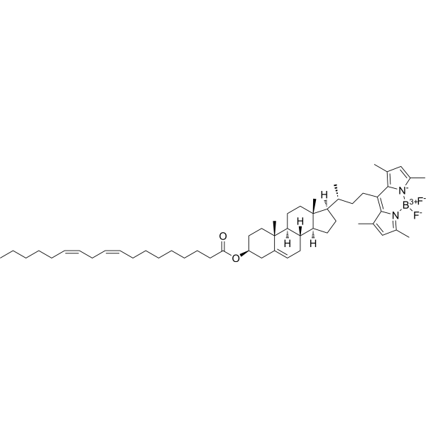 BODIPY 480/508-cholesteryl linoleate