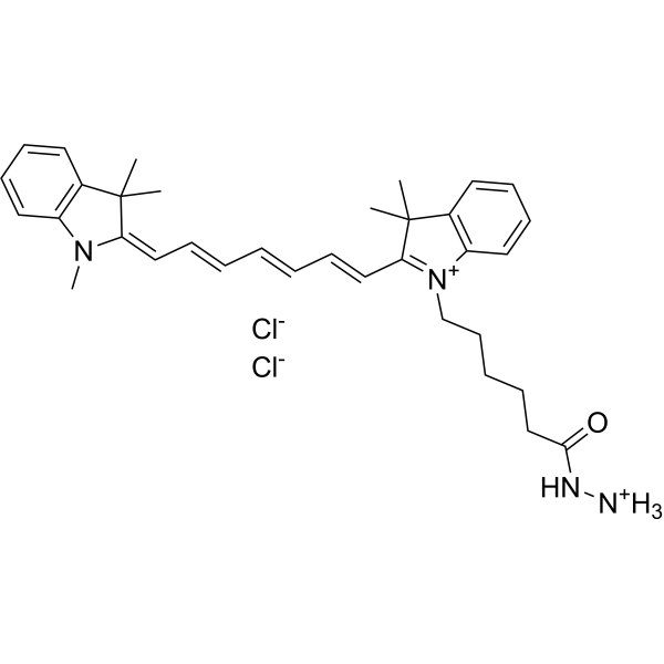 Cy7 hydrazide