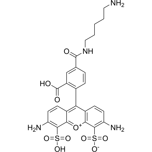BP Fluor 488 cadaverine