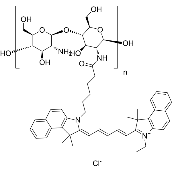 Chitosan-Cy5.5 (MW 55000)