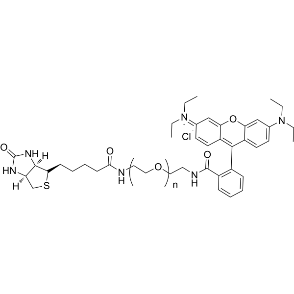 RB-PEG-Biotin (MW 600)