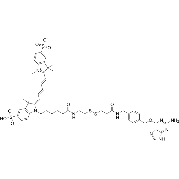 BG-SS-SulfoCy5