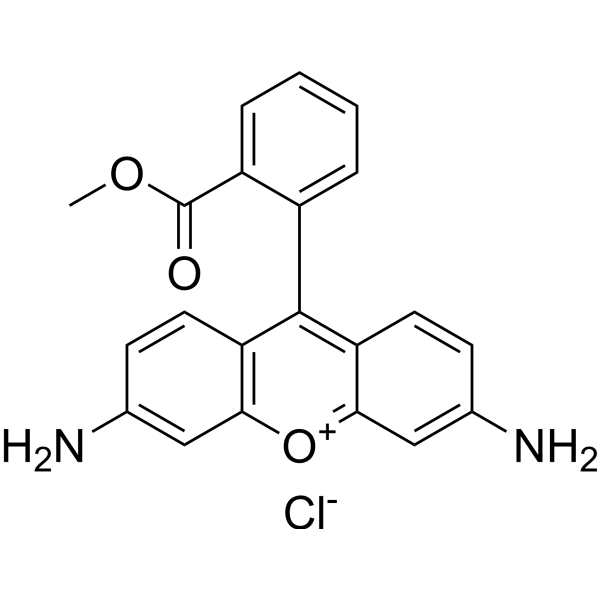 Rhodamine 123 (solution)