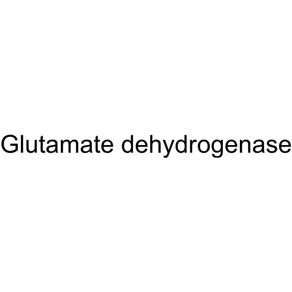 Glutamate dehydrogenase