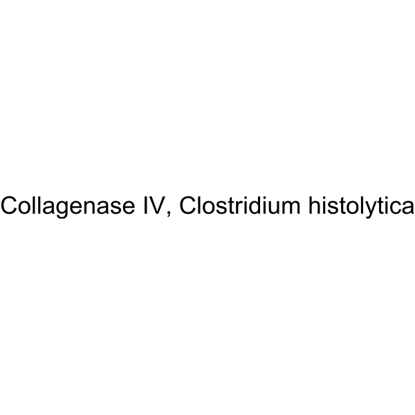 Collagenase IV, Clostridium histolytica