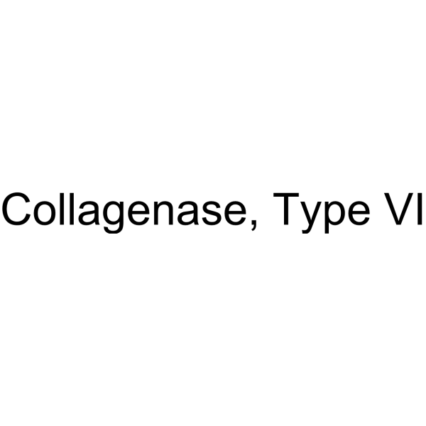 Collagenase, Type VI