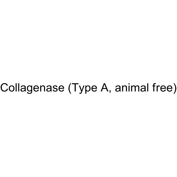 Collagenase (Type A, animal free)