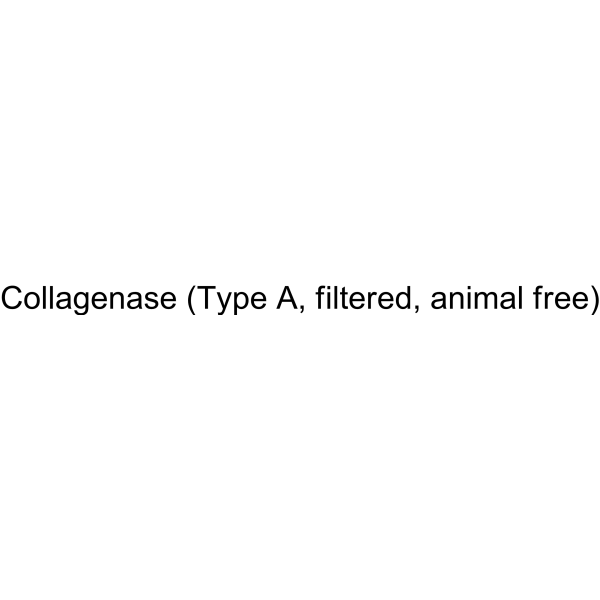 Collagenase (Type A, filtered, animal free)