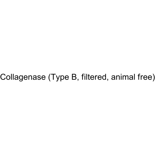 Collagenase (Type B, filtered, animal free)
