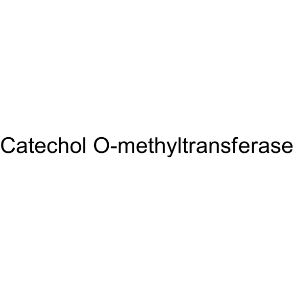Catechol O-methyltransferase, porcine liver