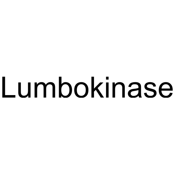 Lumbokinase