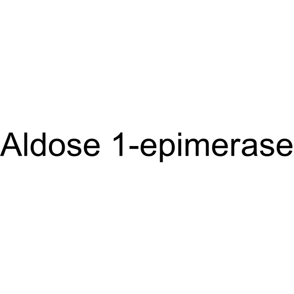 Aldose 1-epimerase